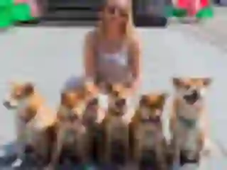 Our puppies from litter D